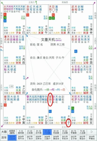 紫薇3月运势_2025年运势如何