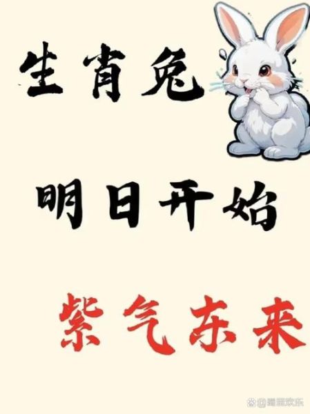 2014属兔运势如何_2014年属兔人财运好吗