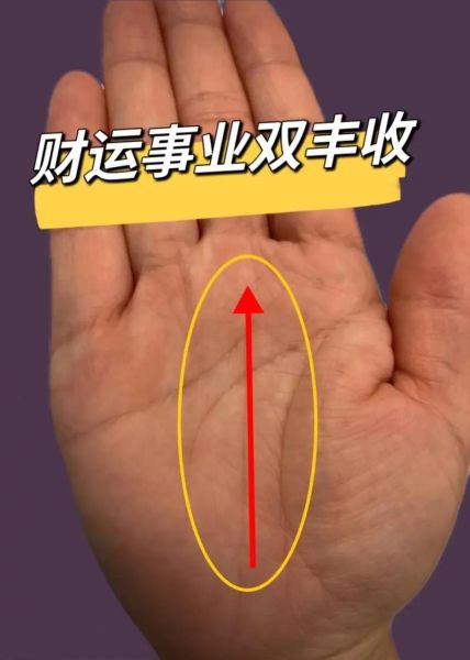 手掌财运线图怎么看_财运线分叉代表什么