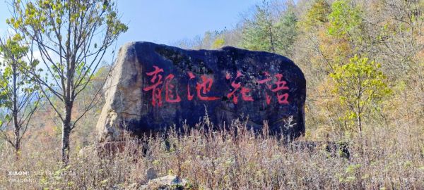 财运龙池是什么_财运龙池怎么用