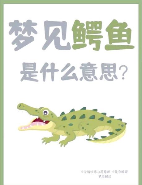 梦到小鳄鱼是什么意思_梦到小鳄鱼预示着什么