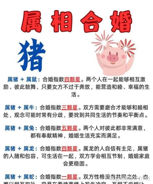 属猪和属马合不合_属猪和属马婚姻如何