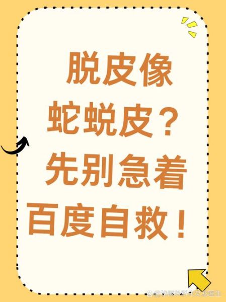 梦到蛇蜕皮是什么意思_蛇蜕皮梦境解析
