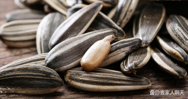 梦到买瓜子是什么意思_梦到买瓜子预示什么