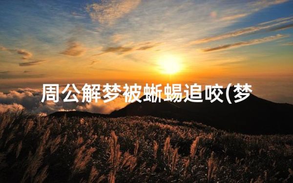 梦到被蜥蜴咬了怎么办_梦见蜥蜴咬人预示什么