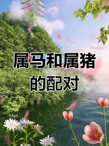 属马生属猪的孩子好吗_马猪相冲还是相合