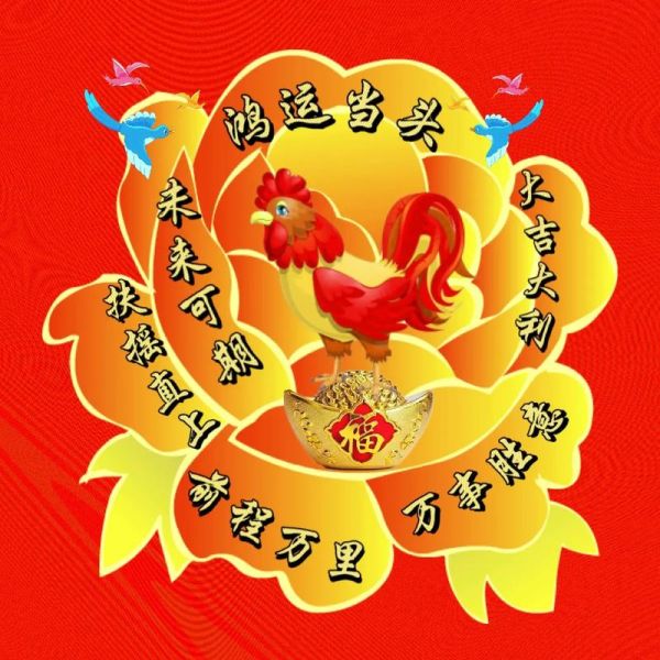 属鸡今年财运如何_属鸡旺财方法