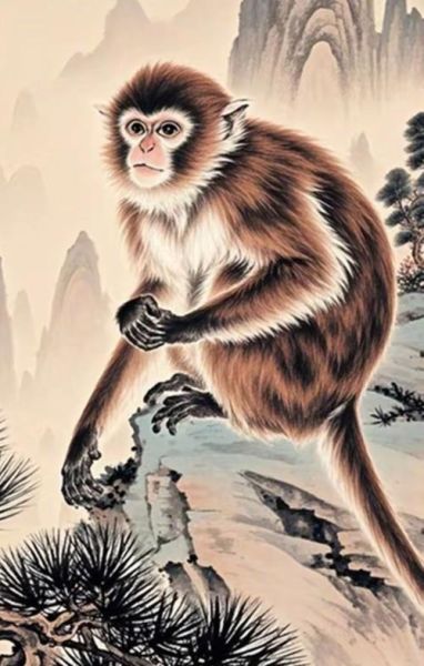 2018属猴运势如何_属猴人全年财运好吗