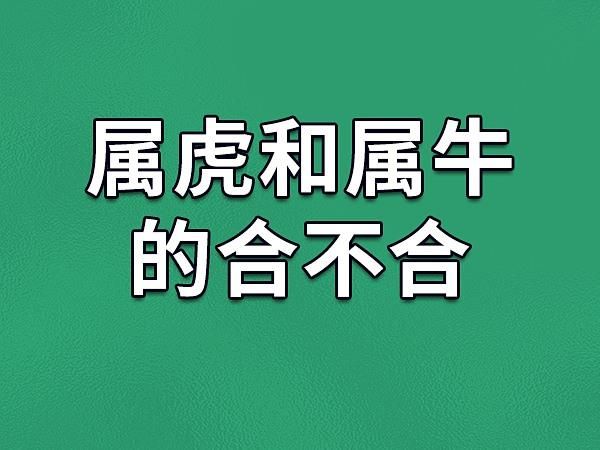 虎和牛属相相冲吗_如何化解