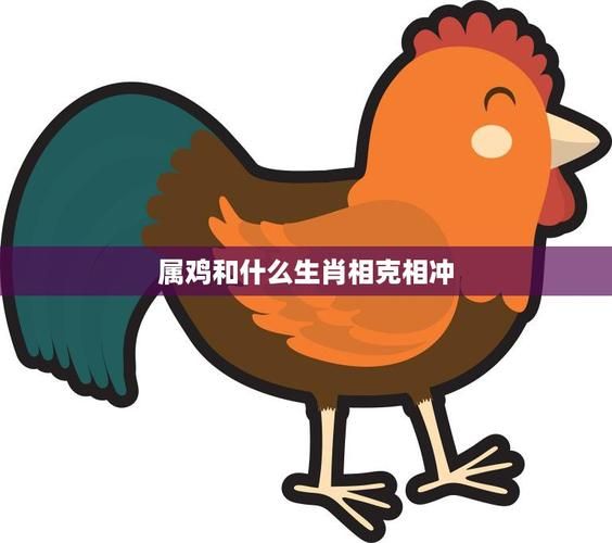 属鸡和什么属相相克_鸡与哪些生肖相冲