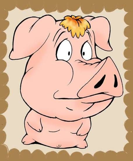 梦到猪肉是什么意思_梦见猪肉预示什么