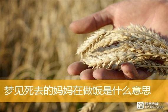 梦到自己做饭给家人吃_是什么意思