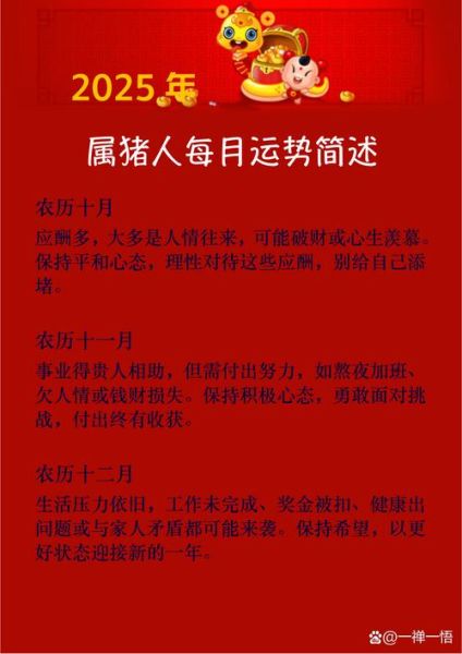 2019猪年财运如何_属猪人财运自测方法