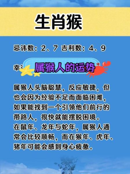 1980年属猴今年运势_2024年运势详解