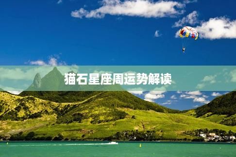 石猫对话今日运势_石猫运势准不准