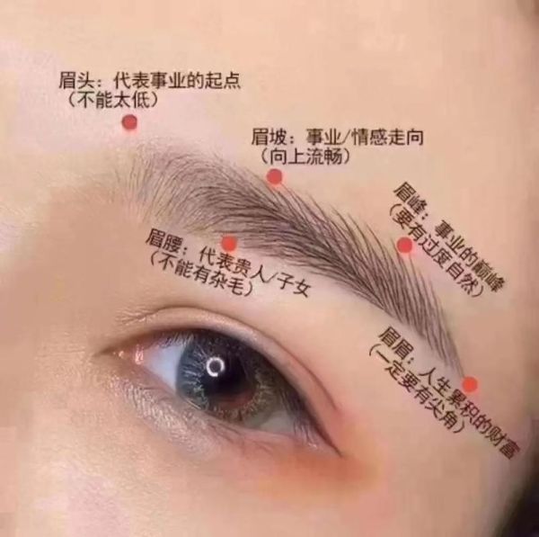 眉毛浓运势_眉毛浓的人财运如何