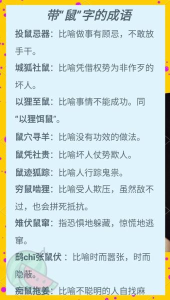 关于属相的成语有哪些_属相成语寓意大全