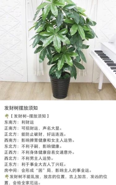 增强财运图片_摆放位置禁忌