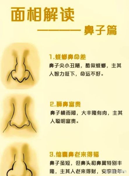 鼻子决定财运么_鼻子面相与财富关系