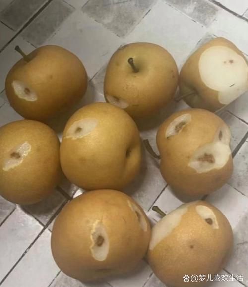 梦到烂梨子是什么意思_梦见腐烂的梨子是吉是凶