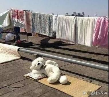 梦到晒东西是什么意思_梦见晒被子代表什么
