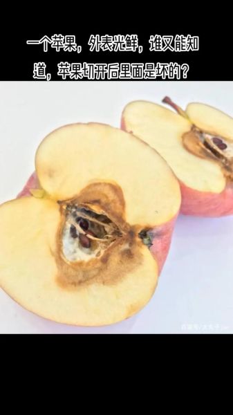 梦到烂苹果是什么意思_梦到烂苹果预示着什么