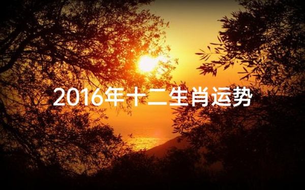 2016年运势测试_2016年运势准不准