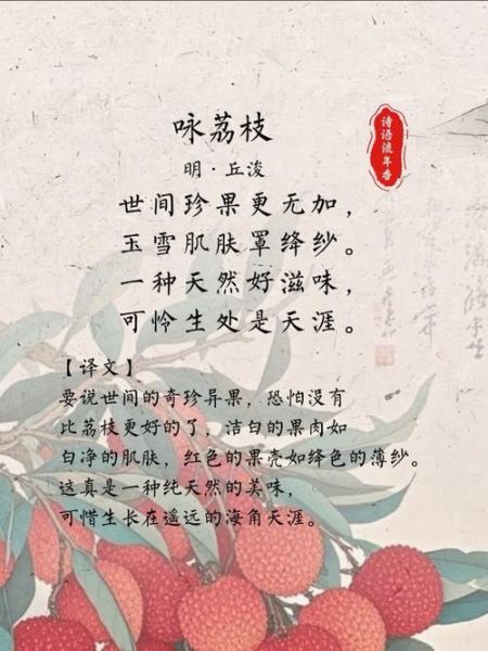 梦到荔枝是什么意思_荔枝梦境解析