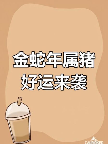 属猪人蛇年财运如何_属猪人蛇年财运怎么样