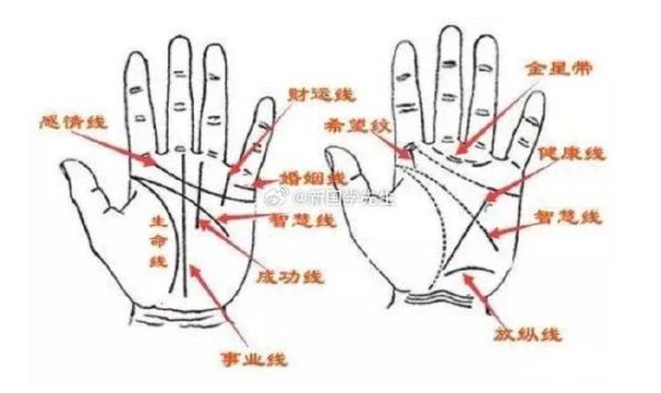 财运线怎么看_事业线怎么看