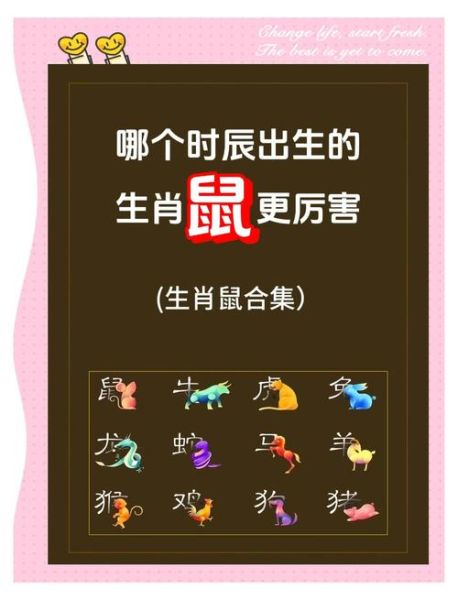 2020年属什么生肖_2020年属鼠的人命运如何