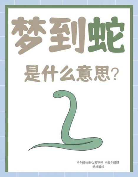 梦到蛇在地上爬_蛇爬行的梦境预示什么