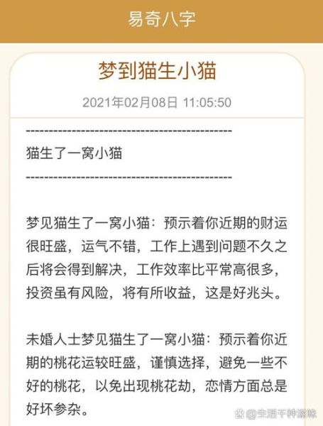 梦到猫追我是什么意思_梦见猫追自己什么预兆