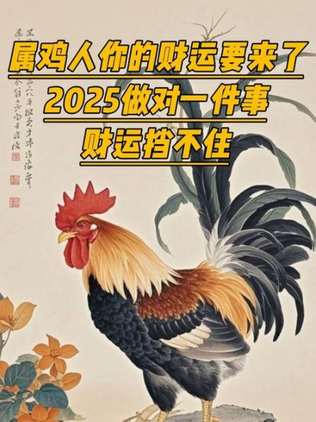 2021年属鸡财运如何_属鸡人今年财运旺不旺