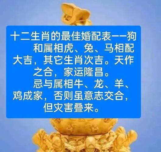 和狗最配的属相是什么_属狗最佳婚配属相