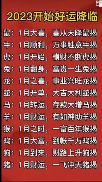 鸡配牛财运如何_鸡牛合作赚钱吗