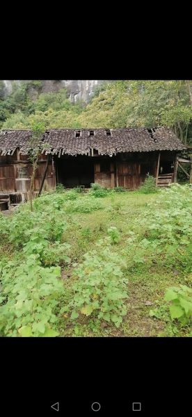 梦到老家的房子是什么意思_如何解梦