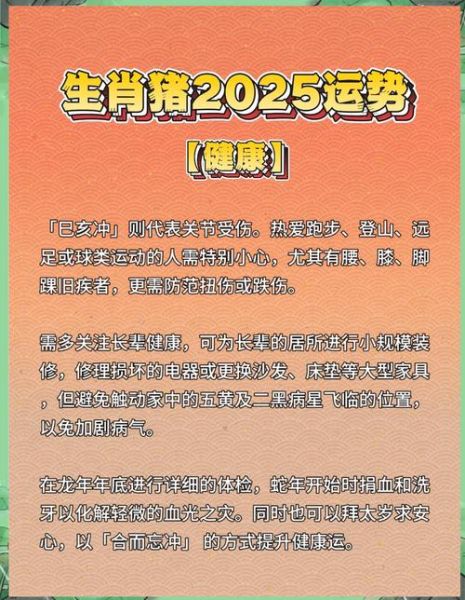 1995年属猪是什么命_1995年属猪2025年运势如何