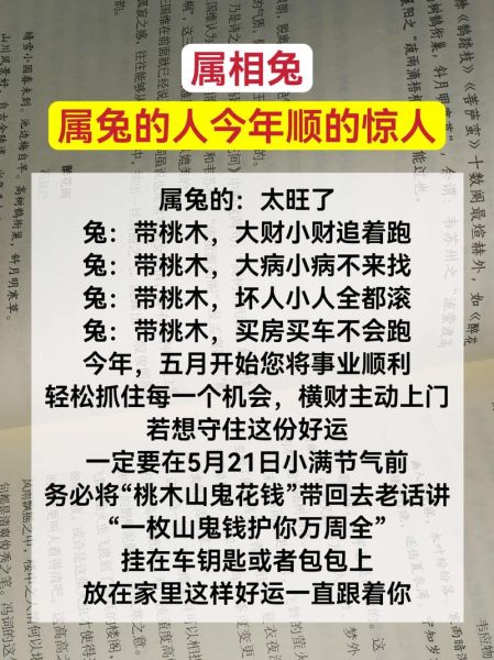 2017属兔每月运势如何_2017属兔全年运势详解