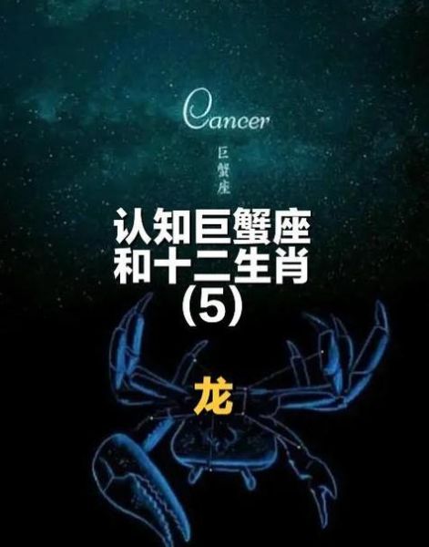 属龙的人适合做什么工作_属龙的性格特点