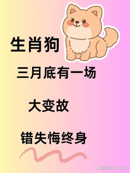 属狗明天有财运吗_属狗明日偏财位在哪