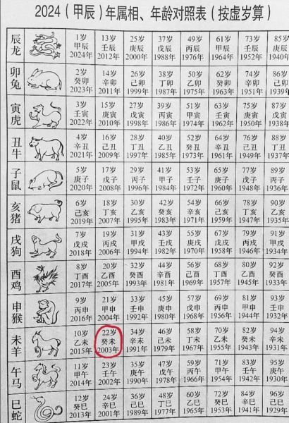 46207属相是什么_46207年出生属什么生肖