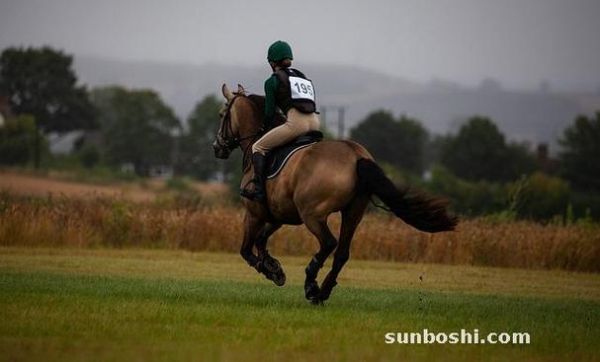 梦到马车飞速跑是什么意思_梦见马车狂奔预示什么