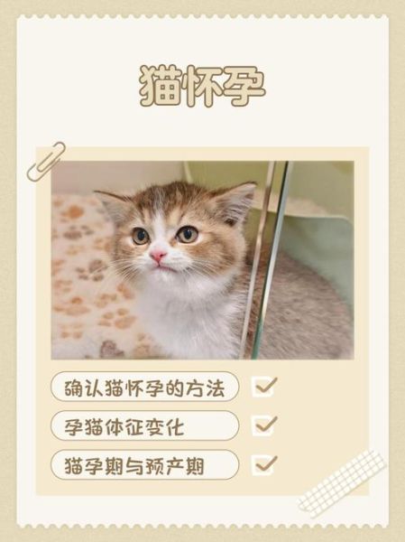 孕妇梦到大猫是什么意思_孕妇梦见大猫生男生女 孕妇梦到大猫是什么意思_孕妇梦见大猫生男生女