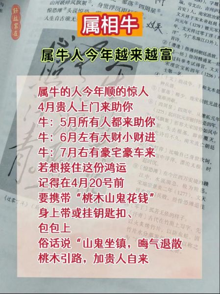 1997属牛2024运势如何_1997属牛财运旺不旺