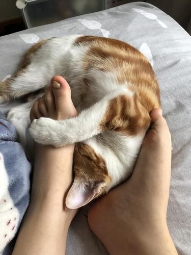 梦到在刮毛是什么意思_梦到在刮毛预示着什么