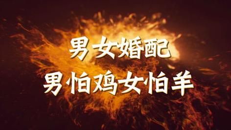 鸡羊属相合吗_鸡和羊的婚姻配对如何