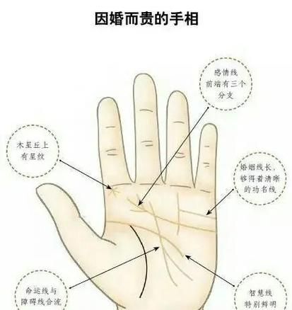 男人的财运线怎么看_财运线断了怎么办