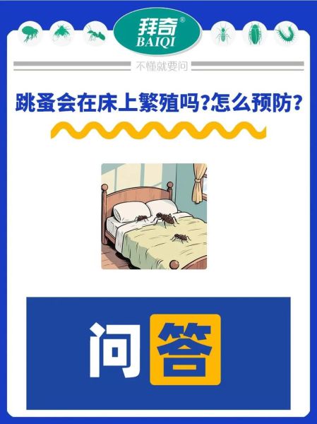 梦到抓跳蚤是什么意思_跳蚤梦境解析 梦到抓跳蚤是什么意思_跳蚤梦境解析