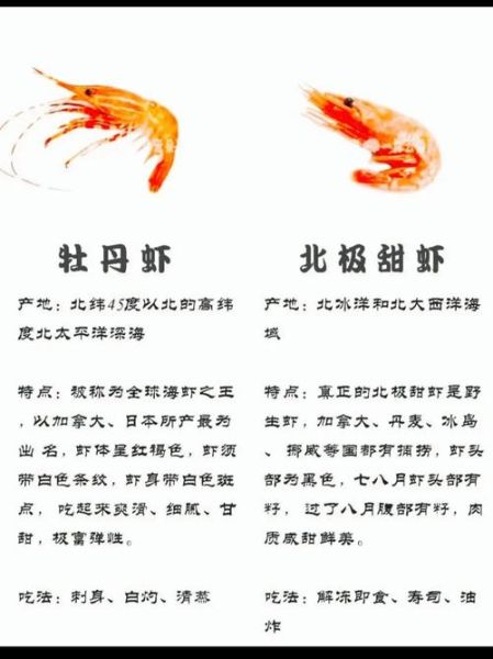 胎梦梦到虾是什么意思_孕妇梦见虾生男生女